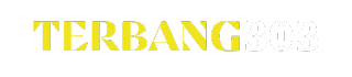 Terbang303